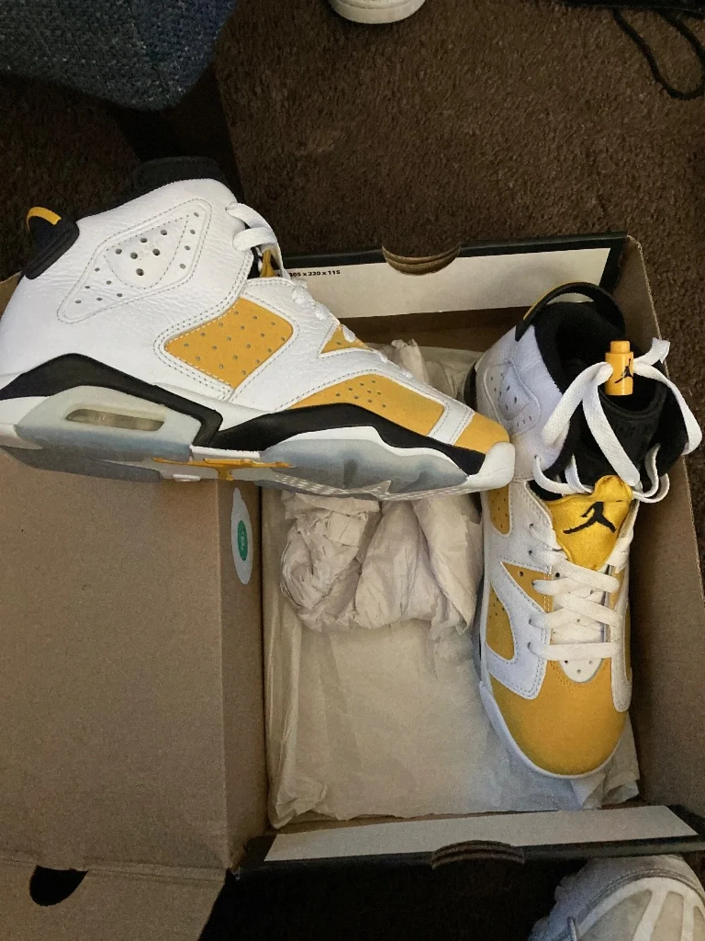 Jordan retro 6
